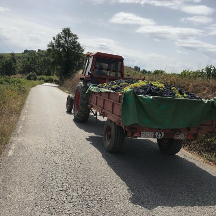 70998027_10217525541703541_5870836765937369088_n